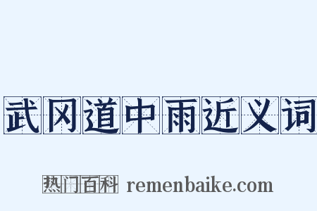 武冈道中雨近义词是什么意思的图片